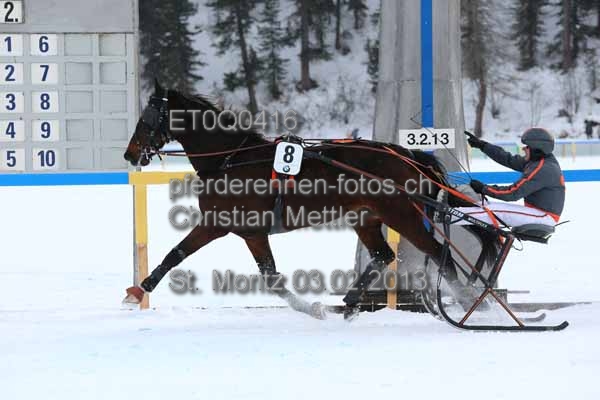 ET0Q0416 prot